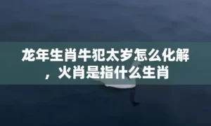 龙年生肖牛犯太岁怎么化解，火肖是指什么生肖