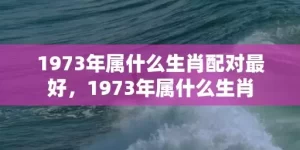 1973年属什么生肖配对最好，1973年属什么生肖