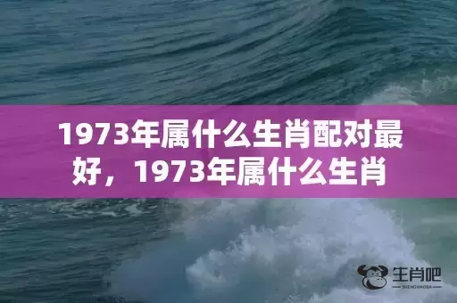 1973年属什么生肖配对最好，1973年属什么生肖