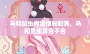 马和鼠生肖婚姻般配吗，马和鼠生肖合不合