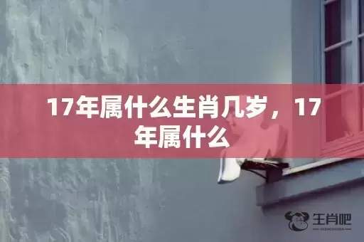 17年属什么生肖几岁，17年属什么