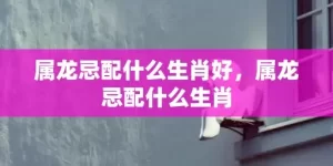 属龙忌配什么生肖好，属龙忌配什么生肖