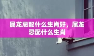 属龙忌配什么生肖好，属龙忌配什么生肖