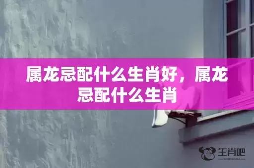 属龙忌配什么生肖好,属龙忌配什么生肖 属龙忌配什么生肖好,属龙忌配什么生肖