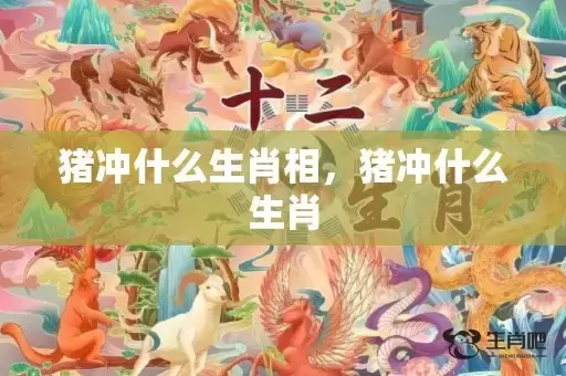猪冲什么生肖相，猪冲什么生肖