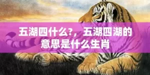 五湖四什么?，五湖四湖的意思是什么生肖