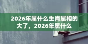 2026年属什么生肖属相的大了，2026年属什么