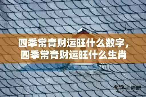 四季常青财运旺什么数字，四季常青财运旺什么生肖