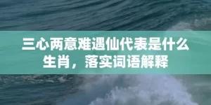 三心两意难遇仙代表是什么生肖，落实词语解释