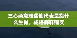 三心两意难遇仙代表是指什么生肖，成语解释落实