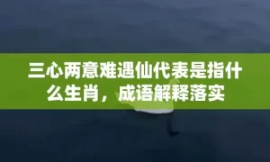 三心两意难遇仙代表是指什么生肖，成语解释落实