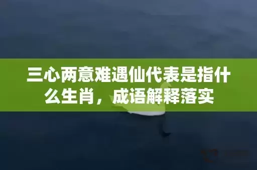 三心两意难遇仙代表是指什么生肖，成语解释落实