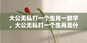 大公无私打一个生肖一数字，大公无私打一个生肖是什么