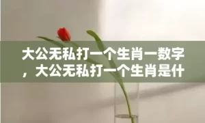 大公无私打一个生肖一数字，大公无私打一个生肖是什么