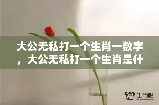 大公无私打一个生肖一数字,大公无私打一个生肖是什么 大公无私打一个生肖一数字,大公无私打一个生肖是什么