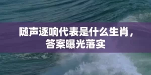 随声逐响代表是什么生肖，答案曝光落实