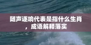 随声逐响代表是指什么生肖，成语解释落实