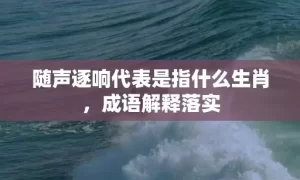 随声逐响代表是指什么生肖，成语解释落实