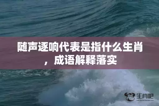 随声逐响代表是指什么生肖，成语解释落实