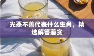 光恶不善代表什么生肖，精选解答落实