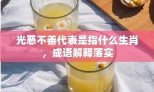 光恶不善代表是指什么生肖，成语解释落实