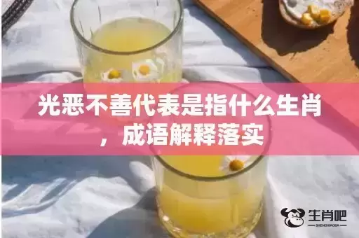 光恶不善代表是指什么生肖,成语解释落实 光恶不善代表是指什么生肖,成语解释落实