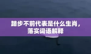 踏步不前代表是什么生肖，落实词语解释