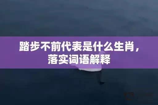 踏步不前代表是什么生肖,落实词语解释 踏步不前代表是什么生肖,落实词语解释