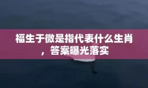 福生于微是指代表什么生肖，答案曝光落实