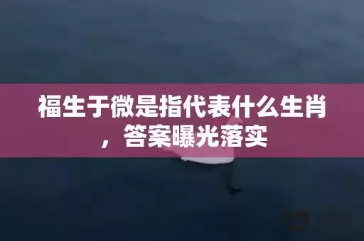 福生于微是指代表什么生肖，答案曝光落实