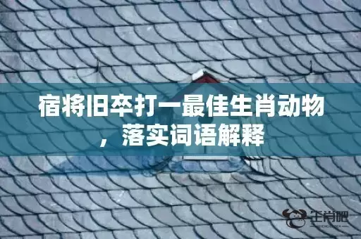 宿将旧卒打一最佳生肖动物，落实词语解释