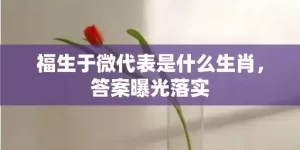 福生于微代表是什么生肖，答案曝光落实