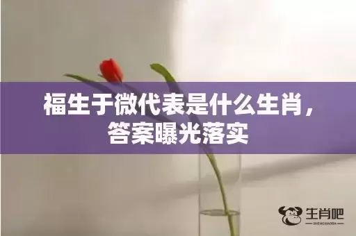 福生于微代表是什么生肖，答案曝光落实