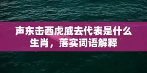 声东击西虎威去代表是什么生肖，落实词语解释