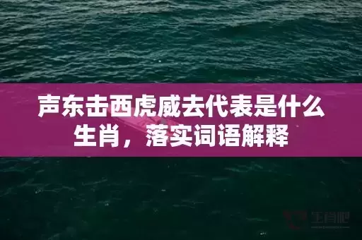 声东击西虎威去代表是什么生肖，落实词语解释