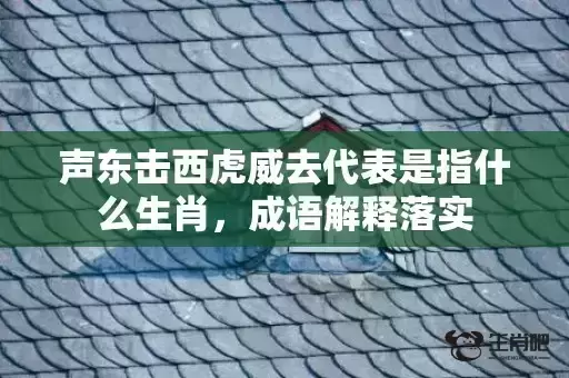 声东击西虎威去代表是指什么生肖，成语解释落实