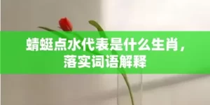 蜻蜓点水代表是什么生肖，落实词语解释