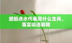 蜻蜓点水代表是什么生肖，落实词语解释