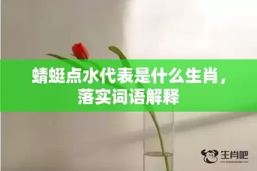 蜻蜓点水代表是什么生肖,落实词语解释 蜻蜓点水代表是什么生肖,落实词语解释