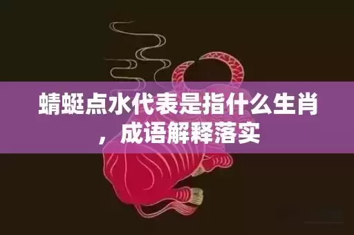 蜻蜓点水代表是指什么生肖，成语解释落实
