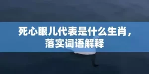 死心眼儿代表是什么生肖，落实词语解释