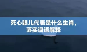 死心眼儿代表是什么生肖，落实词语解释