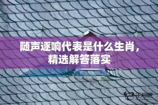 随声逐响代表是什么生肖,精选解答落实 随声逐响代表是什么生肖,精选解答落实