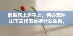 猴来居上居不上，何必奔冲山下去代表是指什么生肖，成语解释落实