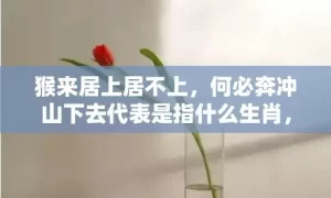 猴来居上居不上，何必奔冲山下去代表是指什么生肖，成语解释落实