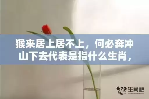 猴来居上居不上，何必奔冲山下去代表是指什么生肖，成语解释落实