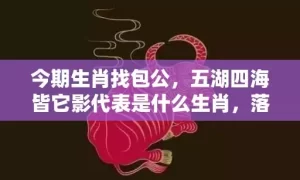 今期生肖找包公，五湖四海皆它影代表是什么生肖，落实词语解释