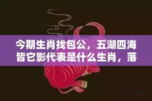 今期生肖找包公，五湖四海皆它影代表是什么生肖，落实词语解释