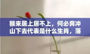 猴来居上居不上，何必奔冲山下去代表是什么生肖，落实词语解释