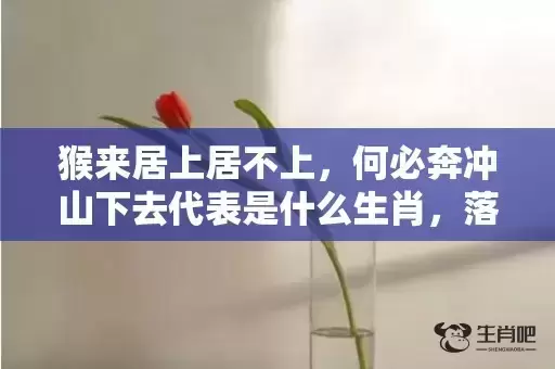 猴来居上居不上，何必奔冲山下去代表是什么生肖，落实词语解释